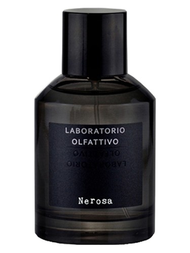 عطر ادکلن نروسا لابوراتوریو اولفاتیوو - Nerosa Laboratorio Olfattivo - بررسی، قیمت و خرید