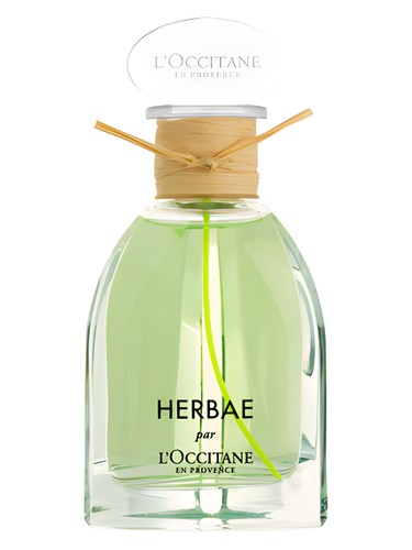 عطر ادکلن هربا لوکسیتان - Herbae L'Occitane en Provence - بررسی، قیمت و خرید