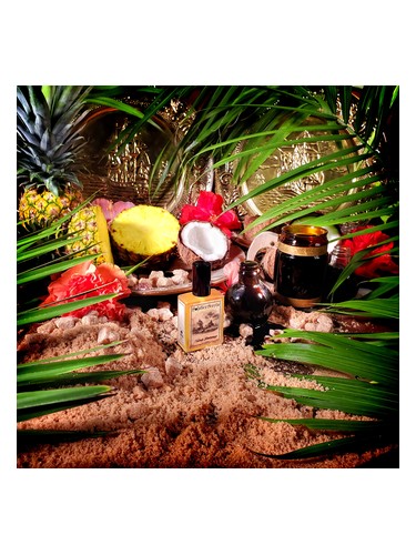 عطر ادکلن آیلند بلاک‌استرپ سولستیس سنتس - Island Blackstrap Solstice Scents - بررسی، قیمت و خرید