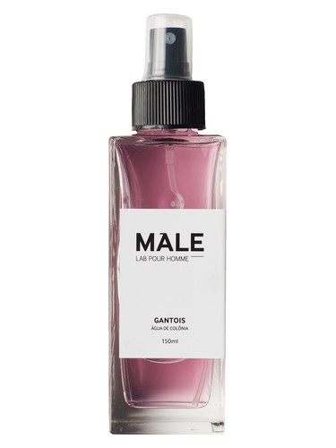 عطر ادکلن گانتوآ میل لاب پور هوم - Gantois Male Lab Pour Homme - بررسی، قیمت و خرید