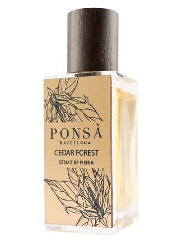 عطر ادکلن سیدار فورست پونسا - Cedar Forest Ponsa - بررسی، قیمت و خرید