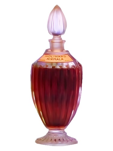 عطر ادکلن نیرمالا مولینارد - Nirmala Molinard - بررسی، قیمت و خرید