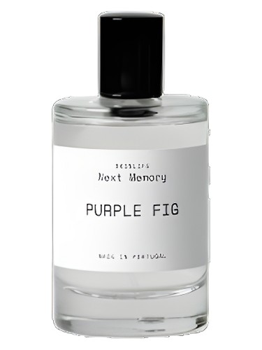 عطر ادکلن پِرپِل فیگ نکست مموری - Purple Fig Next Memory - بررسی، قیمت و خرید
