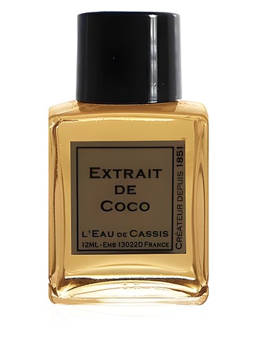 عطر ادکلن کوکو لو د کاسی - Coco L'Eau De Cassis - بررسی، قیمت و خرید