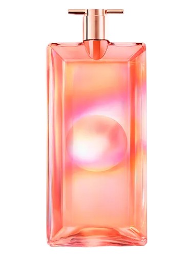 عطر ادکلن ایدل نکتار لانکوم - Idôle Nectar Lancôme - بررسی، قیمت و خرید