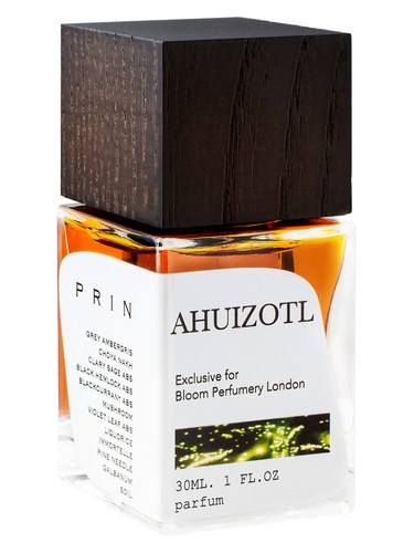 عطر ادکلن آهویتزل پرین - Ahuizotl Prin - بررسی، قیمت و خرید