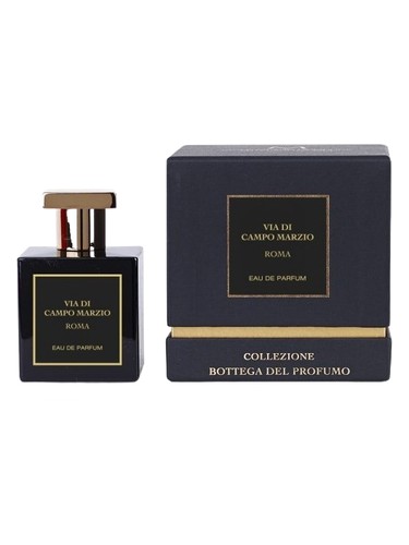 عطر ادکلن ویا دی کامپو مارزیو روما مارکوچیا - Via di Campo Marzio Roma Marcoccia - بررسی، قیمت و خرید