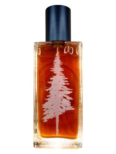 عطر ادکلن آلفیرین پاینورد پرفیومز - Alfiryn Pineward Perfumes - بررسی، قیمت و خرید