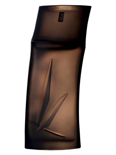 عطر ادکلن کنزو اوم بویزی کنزو - Kenzo Homme Boisee Kenzo - بررسی، قیمت و خرید