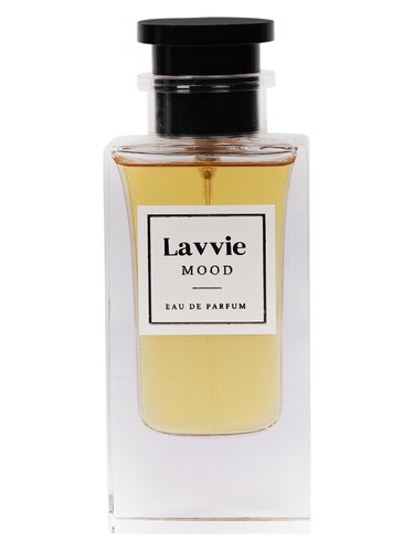 عطر ادکلن مود لاوی پرفیومز - MOOD LAVVIE PERFUMES - بررسی، قیمت و خرید