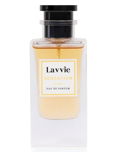 عطر ادکلن سنسیشن لاوی پرفیوم - SENSATION LAVVIE PERFUMES - بررسی، قیمت و خرید