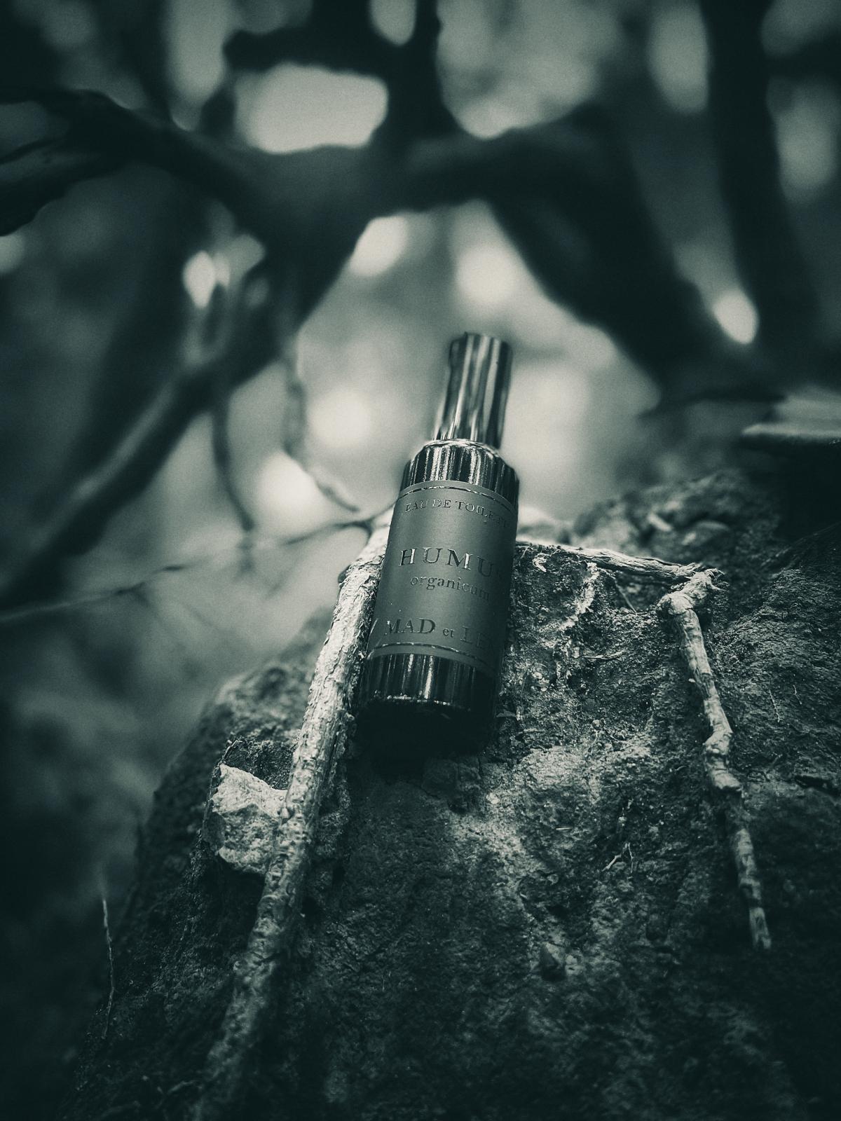 عطر ادکلن حموس مدلن - Humus Mad et Len - بررسی، قیمت و خرید