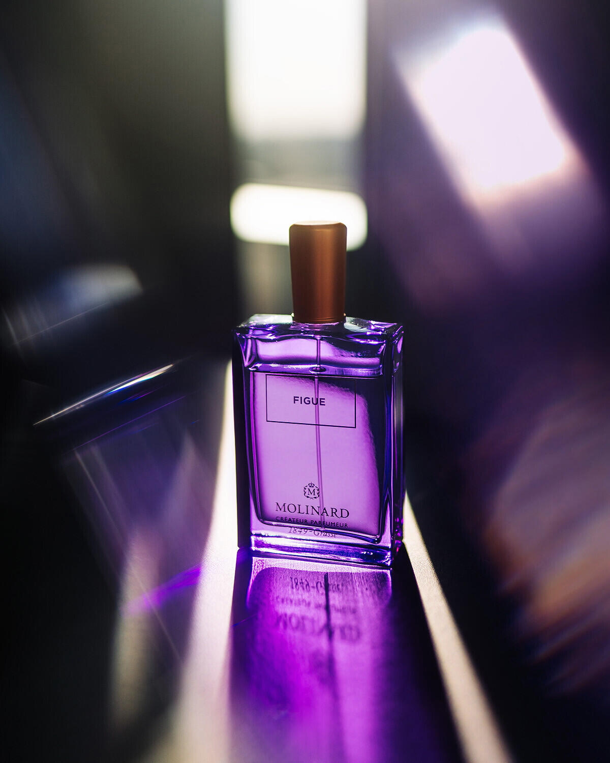 عطر ادکلن فیگو ادو پرفیوم مولینارد - Figue Eau de Parfum Molinard - بررسی، قیمت و خرید
