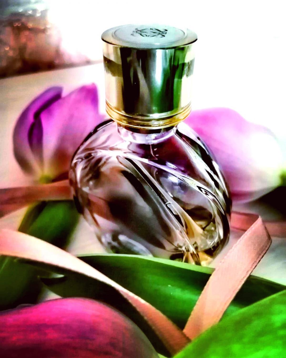 عطر ادکلن کوییزاس، کوییزاس، کوییزاس لویو - Quizas, Quizas, Quizas Loewe - بررسی، قیمت و خرید