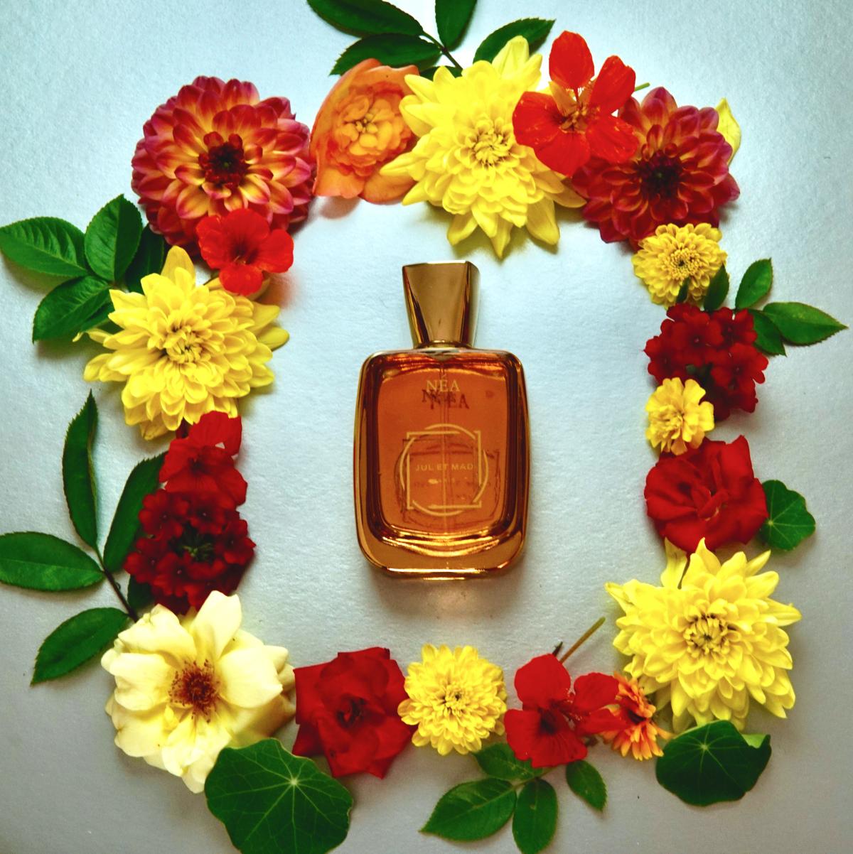 عطر ادکلن نئا ژول ات مد پاریس - Néa Jul et Mad Paris - بررسی، قیمت و خرید