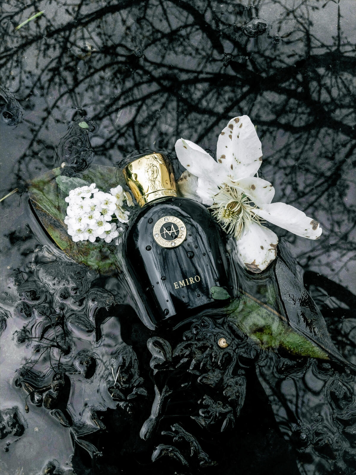 عطر ادکلن ایمیرو مورِسک - Emiro Moresque - بررسی، قیمت و خرید