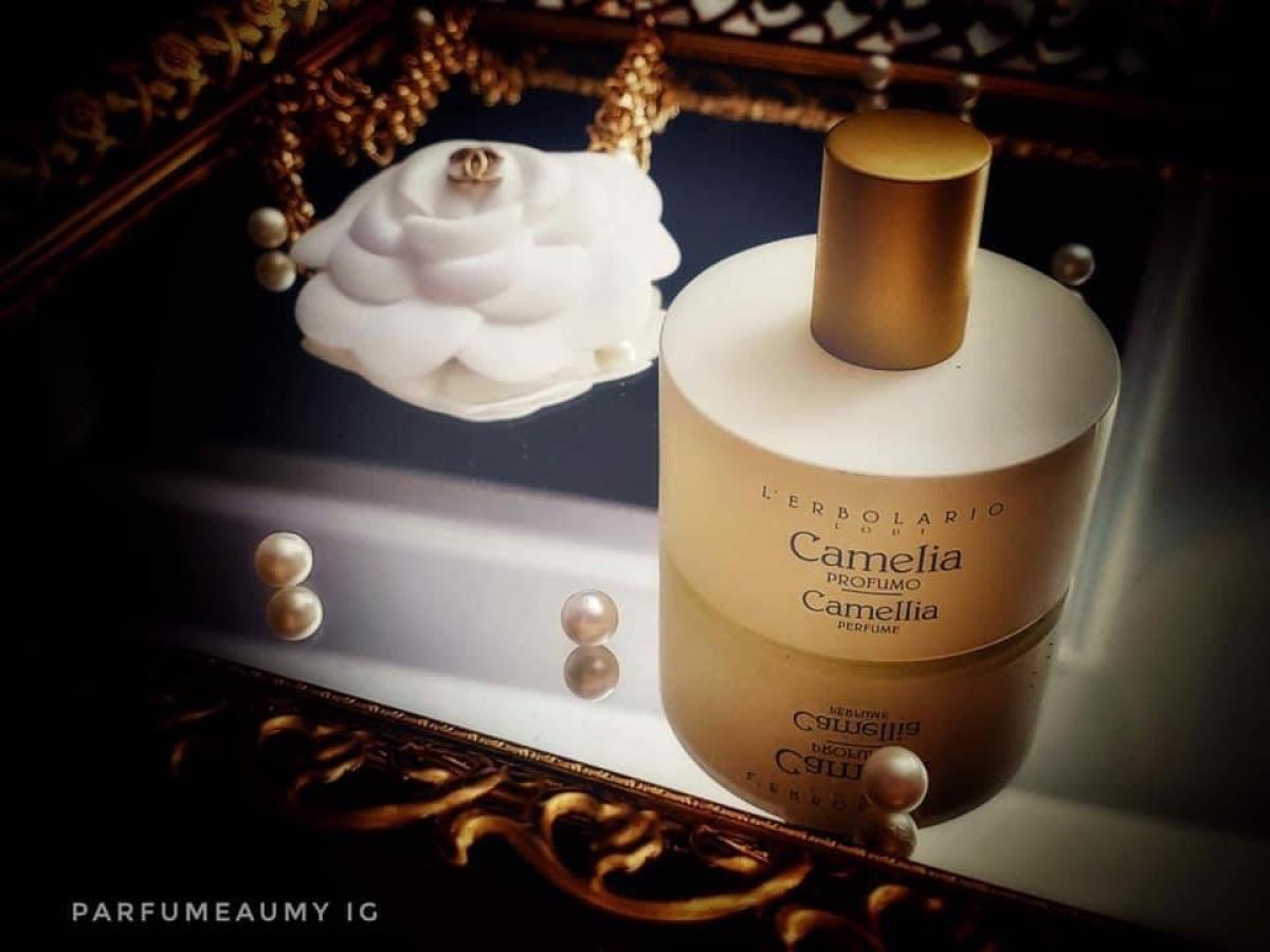 عطر ادکلن کامیلیا لربولاریو - Camelia L'Erbolario - بررسی، قیمت و خرید