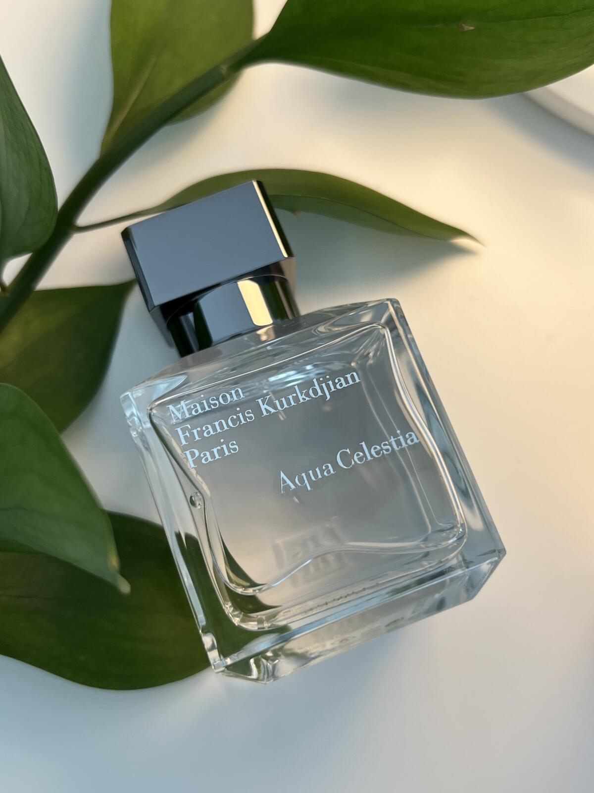 عطر ادکلن آکوا سلستیا میسون فرانسیس کورکجان - Aqua Celestia Maison Francis Kurkdjian - بررسی، قیمت و خرید