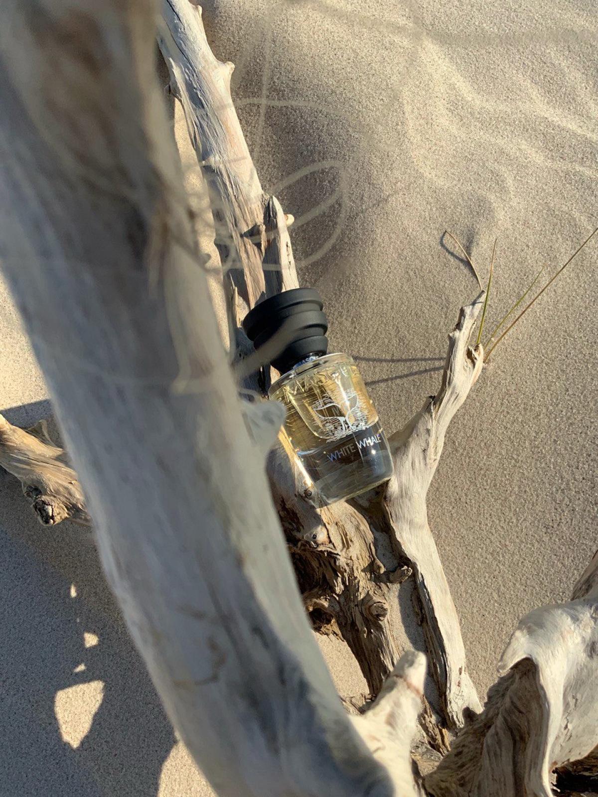 عطر ادکلن وایت وِیل ماسك ميلانو - White Whale Masque Milano - بررسی، قیمت و خرید