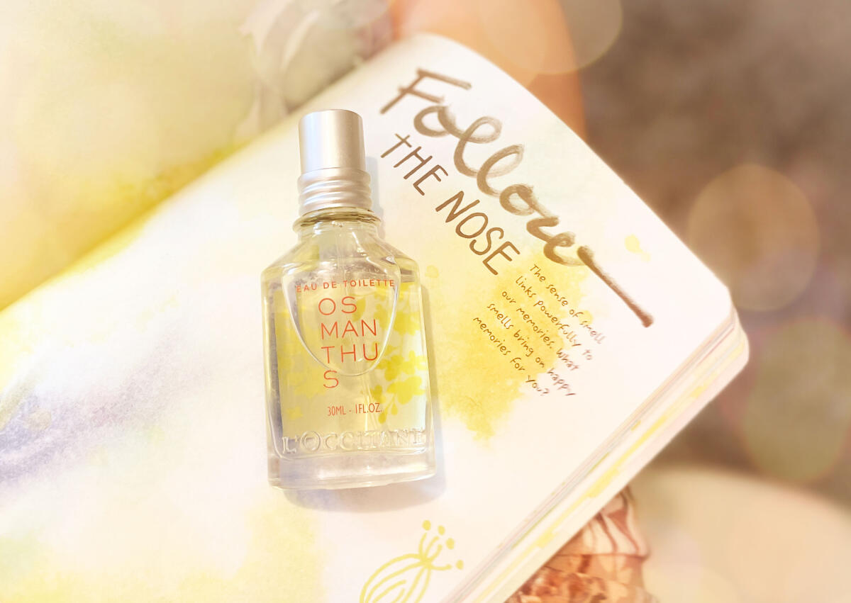 عطر ادکلن اسمانتوس لوکسیتان - Osmanthus L'Occitane en Provence - بررسی، قیمت و خرید