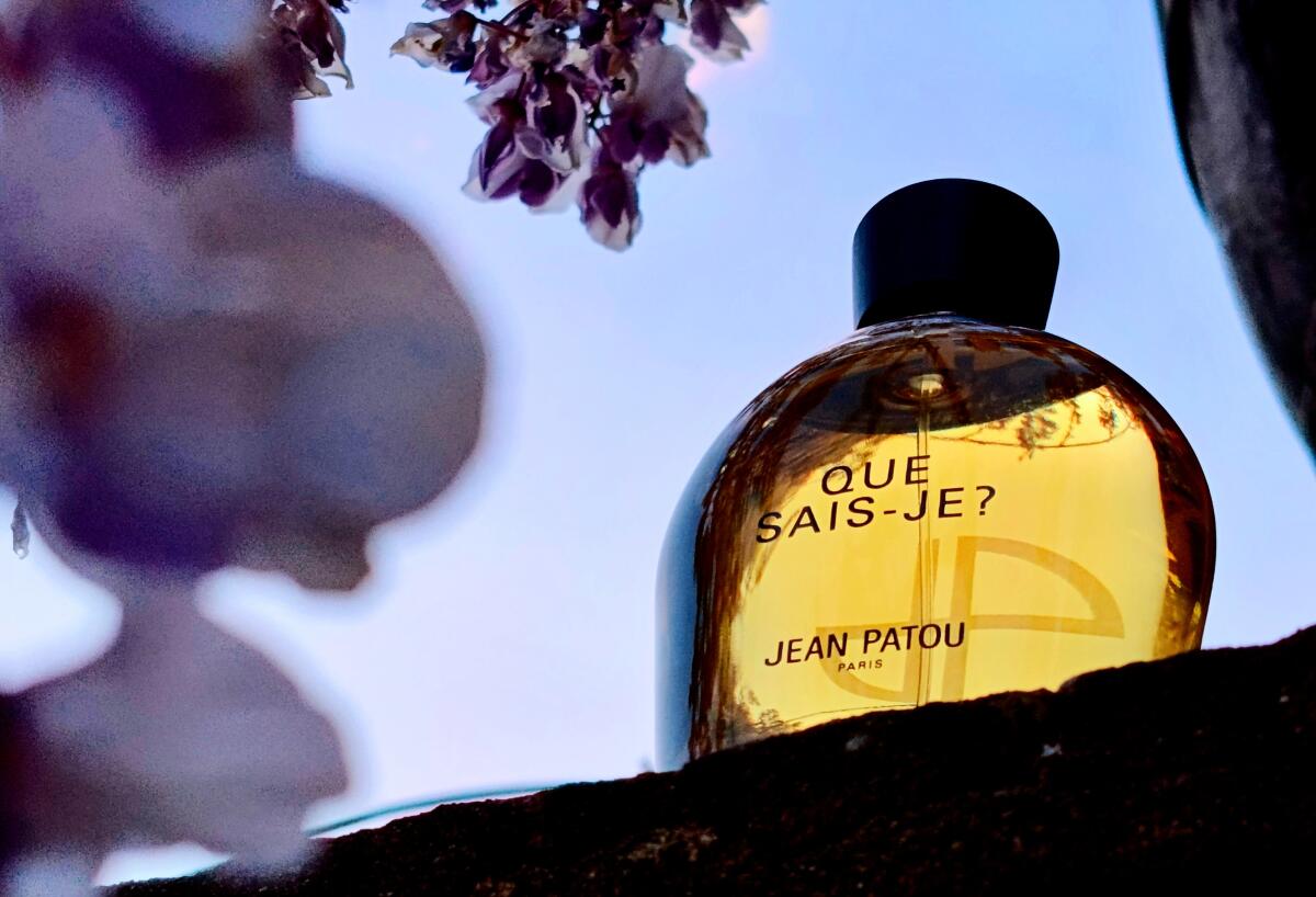 عطر ادکلن که سژ ژان پاتو - Que sais je? Jean Patou - بررسی، قیمت و خرید