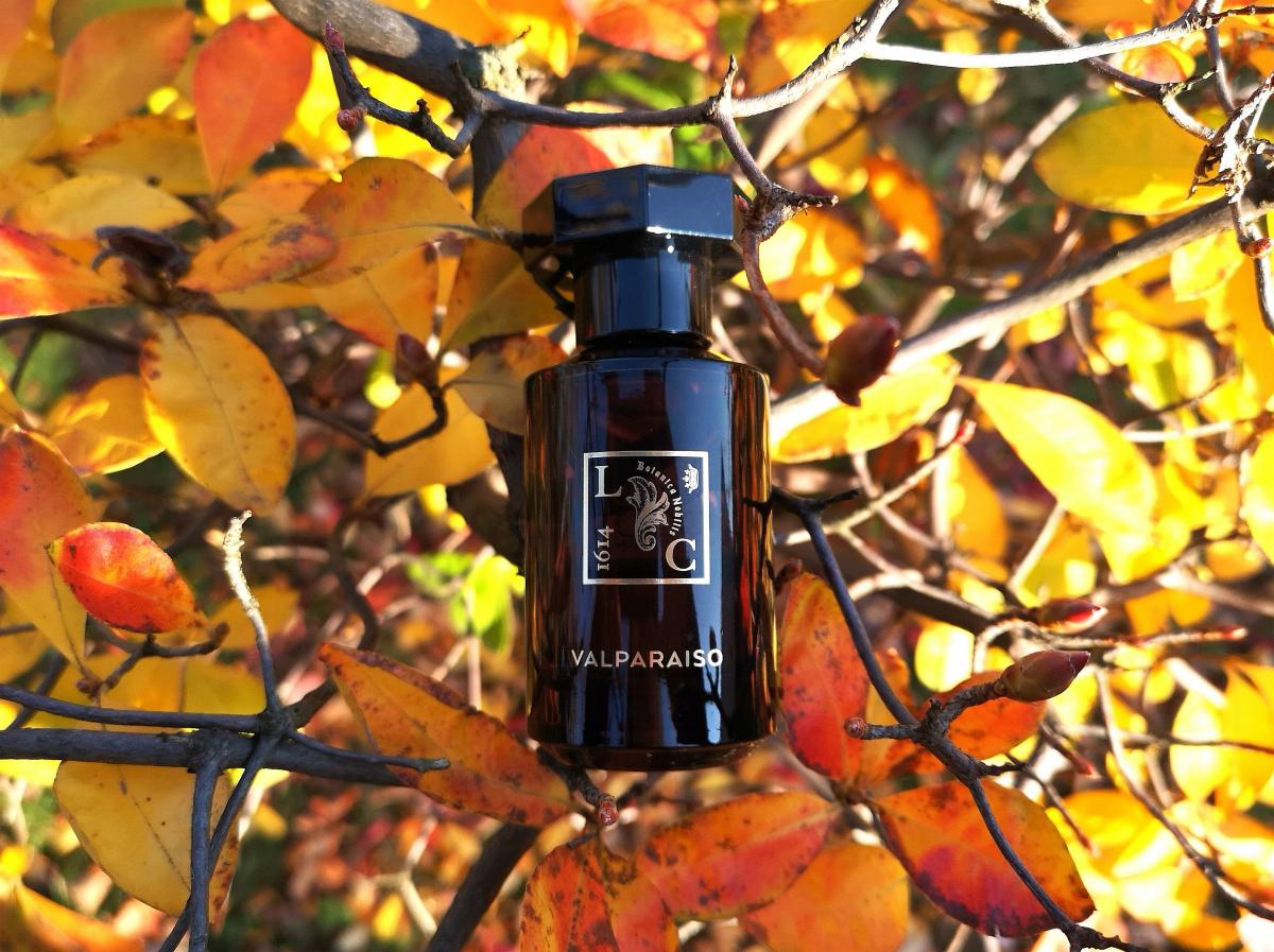 عطر ادکلن والپارایزو لو کوونت مزون دو پارفوم - Valparaiso Le Couvent Maison de Parfum - بررسی، قیمت و خرید