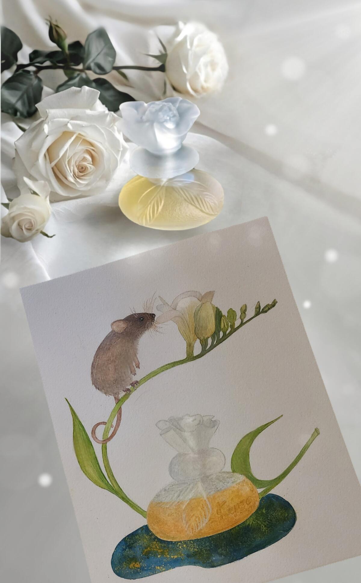 عطر ادکلن سا سن بو کنزو - Ça Sent Beau Kenzo - بررسی، قیمت و خرید