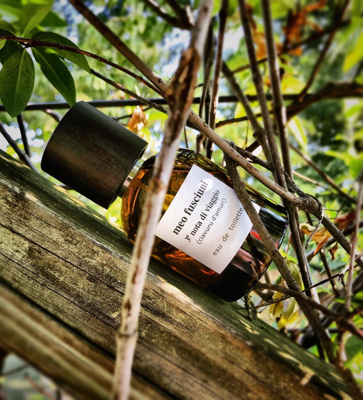 عطر ادکلن 3# نوتا دی ویاجیو (چاورو داموری) میو فوسکیونی - 3# nota di viaggio (ciavuru d’amuri) Meo Fusciuni - بررسی، قیمت و خرید