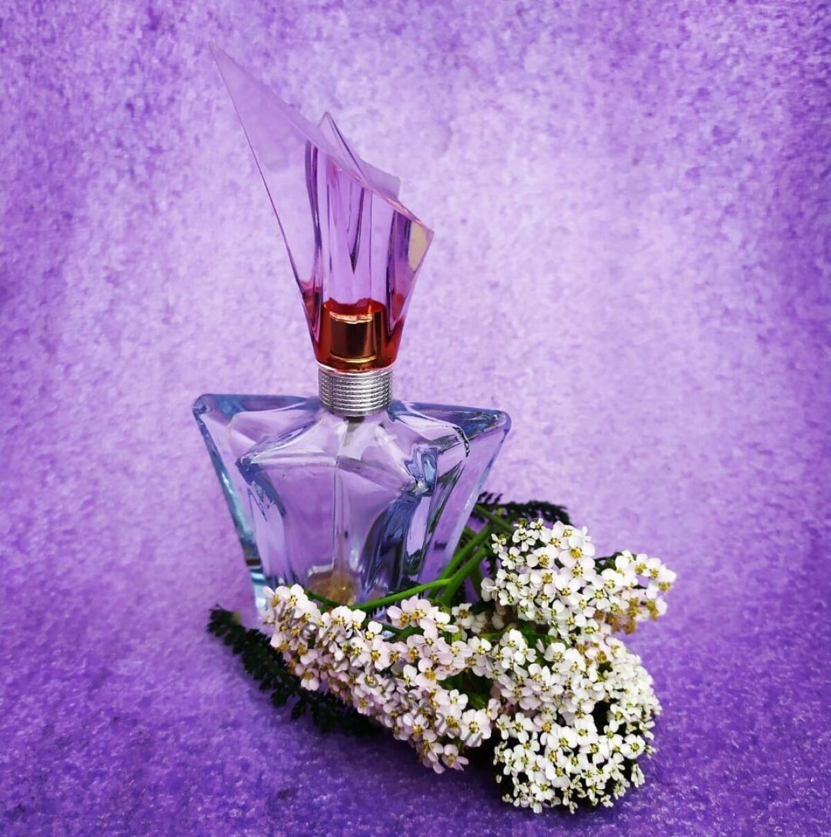 عطر ادکلن آنجل گاردن آو استارز - ویولت آنجل موگلر - Angel Garden Of Stars - Violette Angel Mugler - بررسی، قیمت و خرید