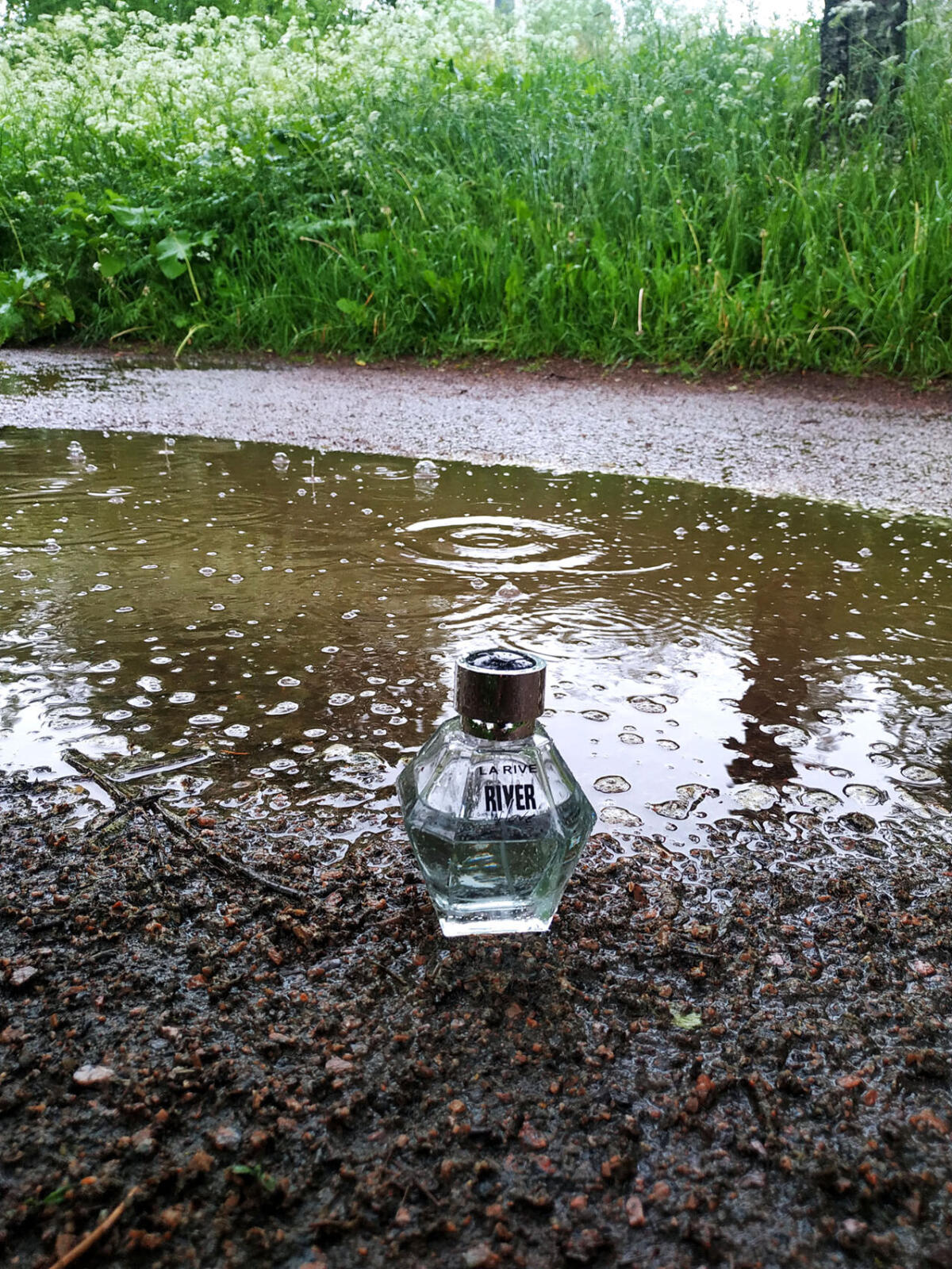 عطر ادکلن ریور آو لاو لاریو - River of Love La Rive - بررسی، قیمت و خرید