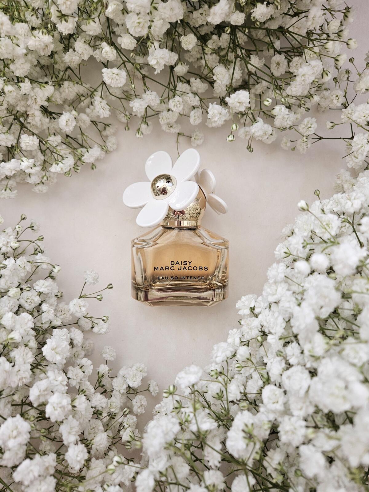 عطر ادکلن دیزی او سو اینتنس مارک جیکوبز - Daisy Eau So Intense Marc Jacobs - بررسی، قیمت و خرید