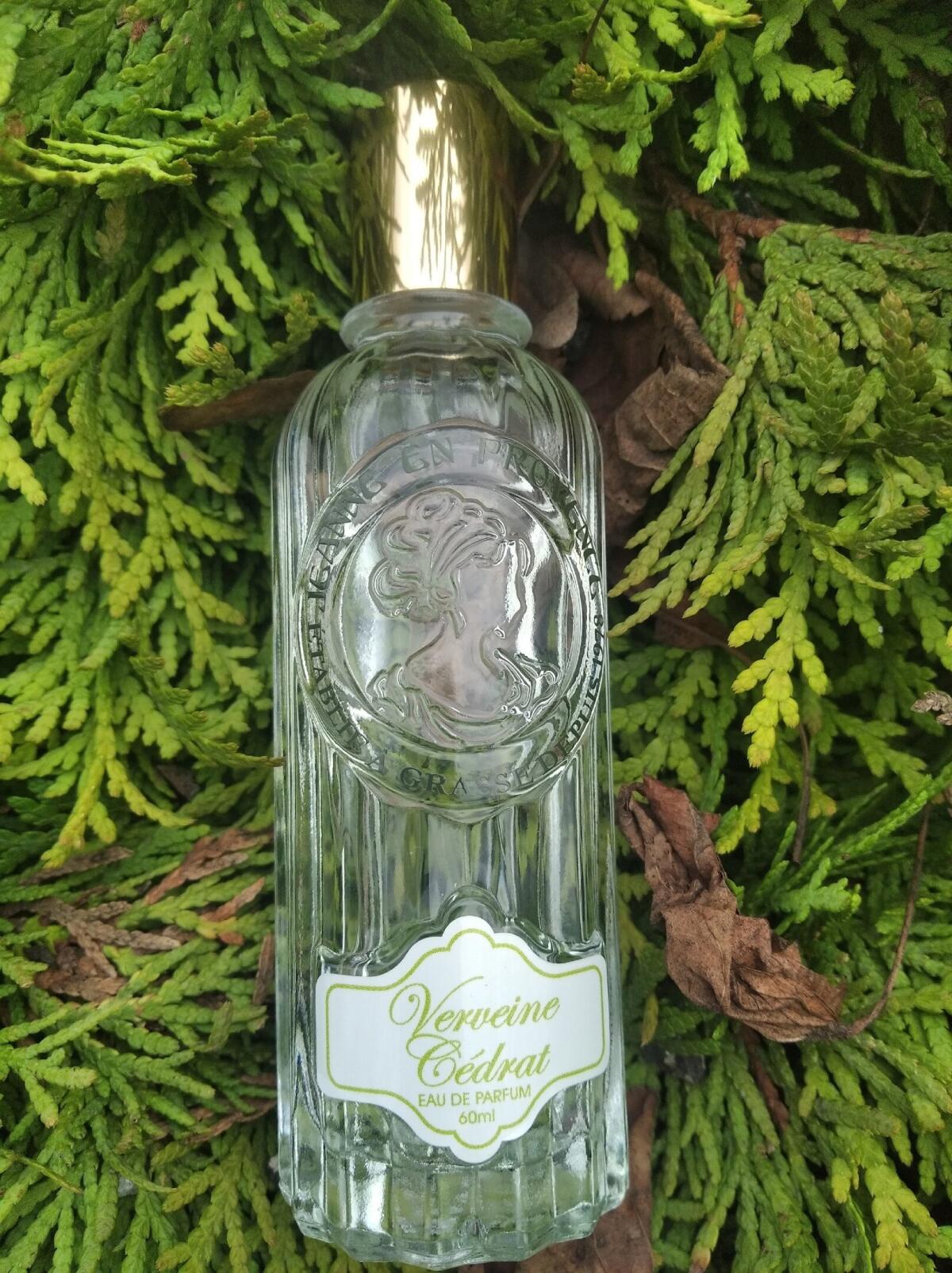 عطر ادکلن ورون سدرت ژان ان پرووانس - Verveine Cedrat Jeanne en Provence - بررسی، قیمت و خرید