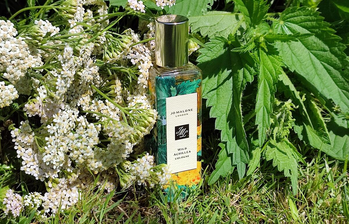 عطر ادکلن وایلد آکیلا جو مالون لندن - Wild Achillea Jo Malone London - بررسی، قیمت و خرید