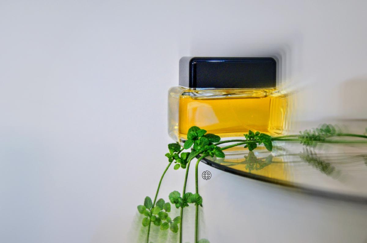 عطر ادکلن مارک جیکوبز من مارک جیکوبز - Marc Jacobs Men Marc Jacobs - بررسی، قیمت و خرید