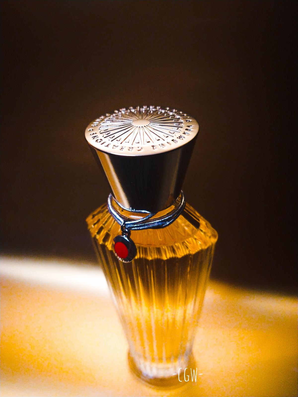 عطر ادکلن تری نیلا ورمیغ کِرِیشنز - Trayee Neela Vermeire Creations - بررسی، قیمت و خرید