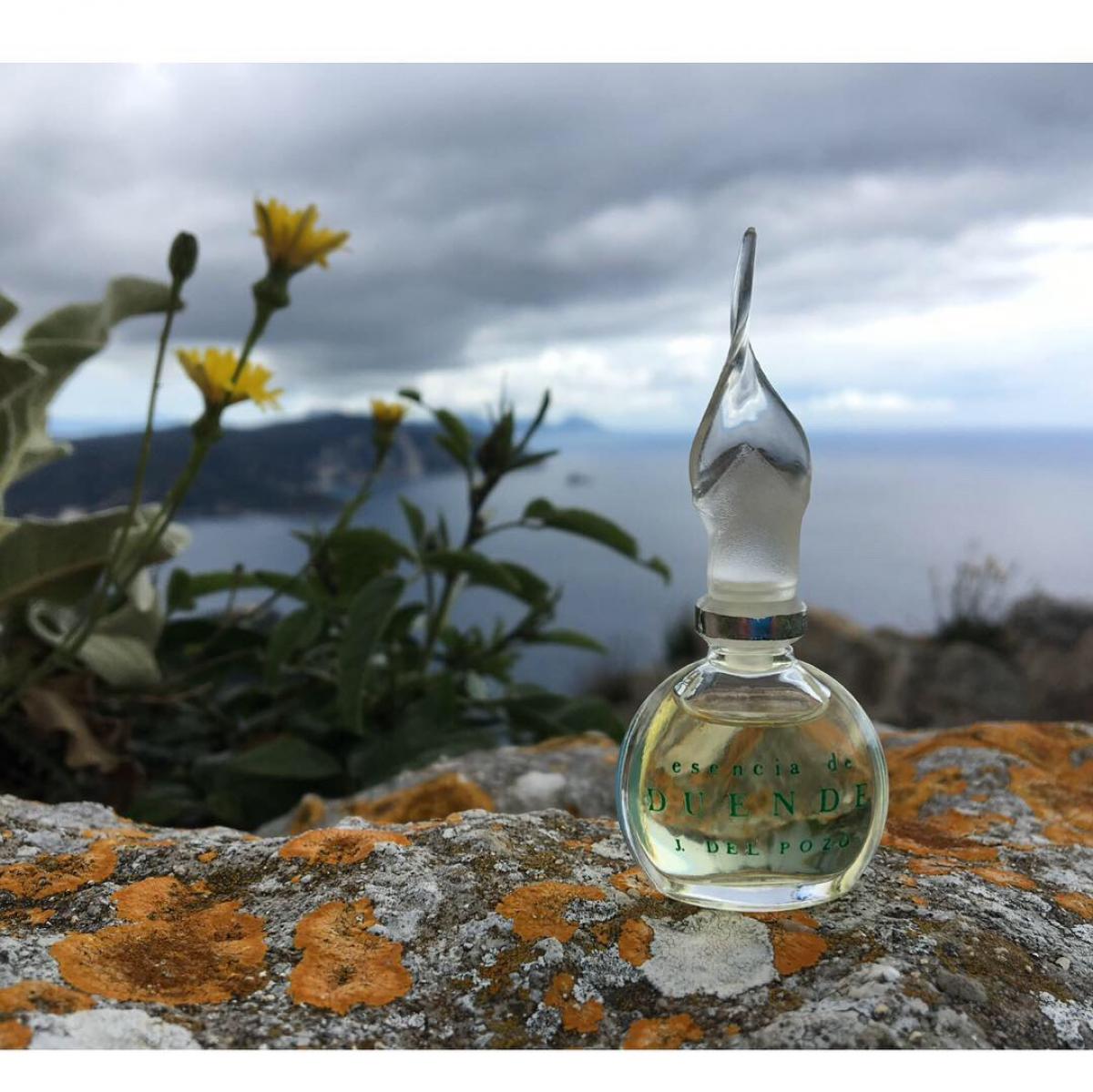 عطر ادکلن اسنسیای دوئنده خسوس دل پوزو - Esencia de Duende Jesus Del Pozo - بررسی، قیمت و خرید