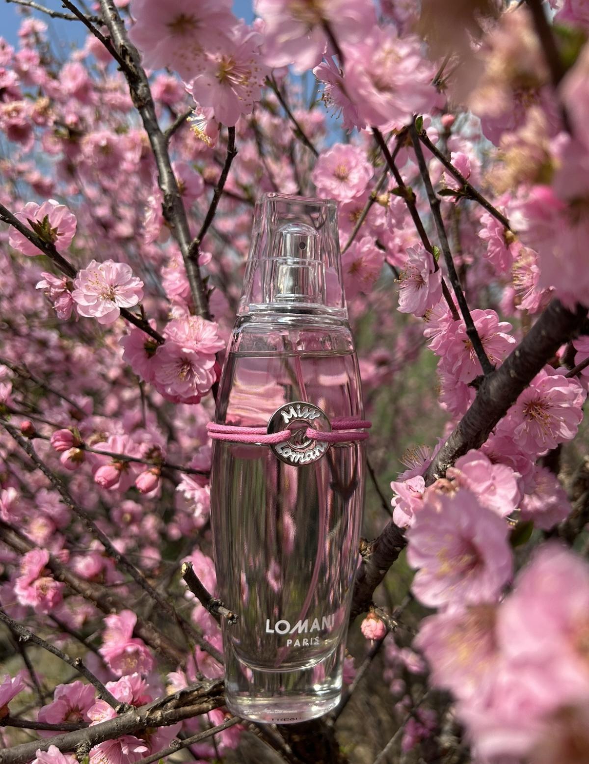 عطر ادکلن میس لومانی لومانی - Miss Lomani Lomani - بررسی، قیمت و خرید