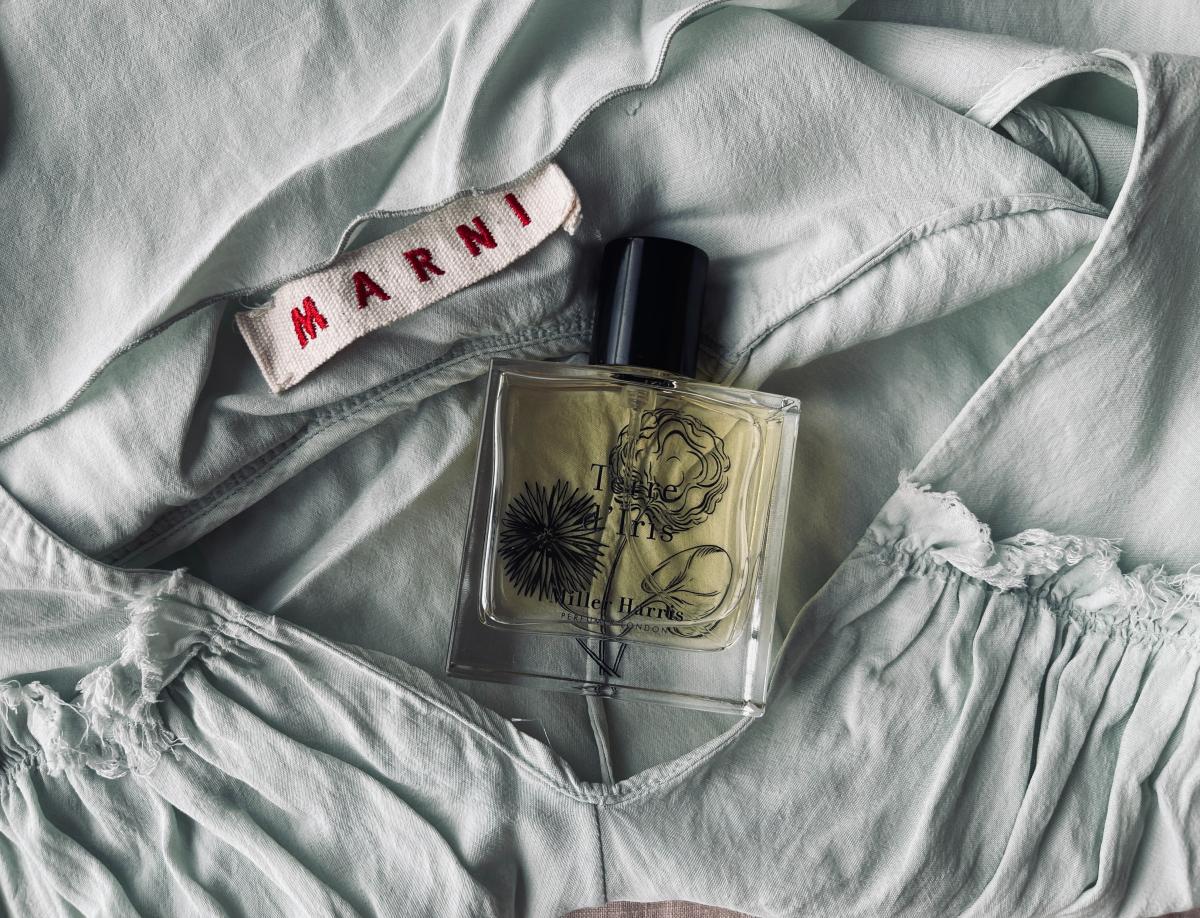 عطر ادکلن تر د ایریس میلهاریس - Terre d'Iris Miller Harris - بررسی، قیمت و خرید
