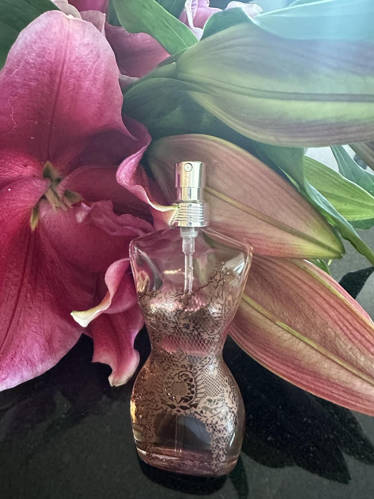 عطر ادکلن کلاسیک او دو پرفیوم ژان پل گوتیه - Classique Eau de Parfum Jean Paul Gaultier - بررسی، قیمت و خرید