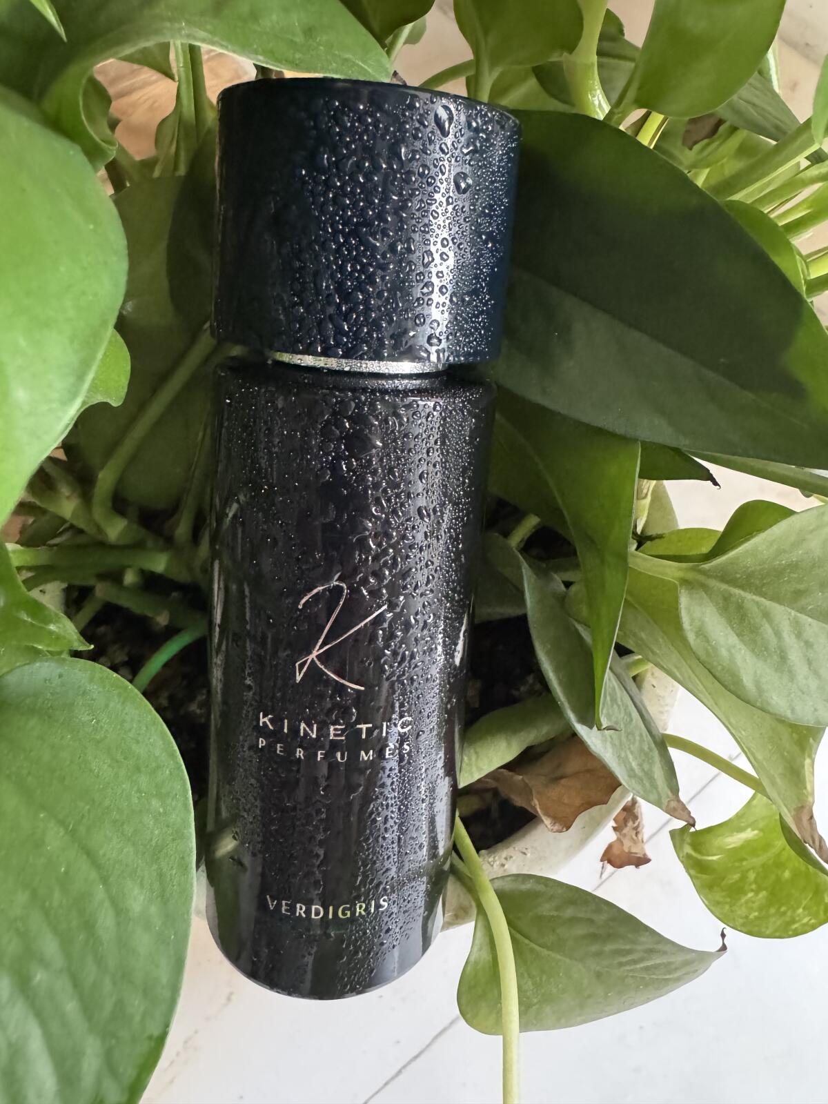 عطر ادکلن وردیگریس کینتیک پرفیومز - Verdigris Kinetic Perfumes - بررسی، قیمت و خرید