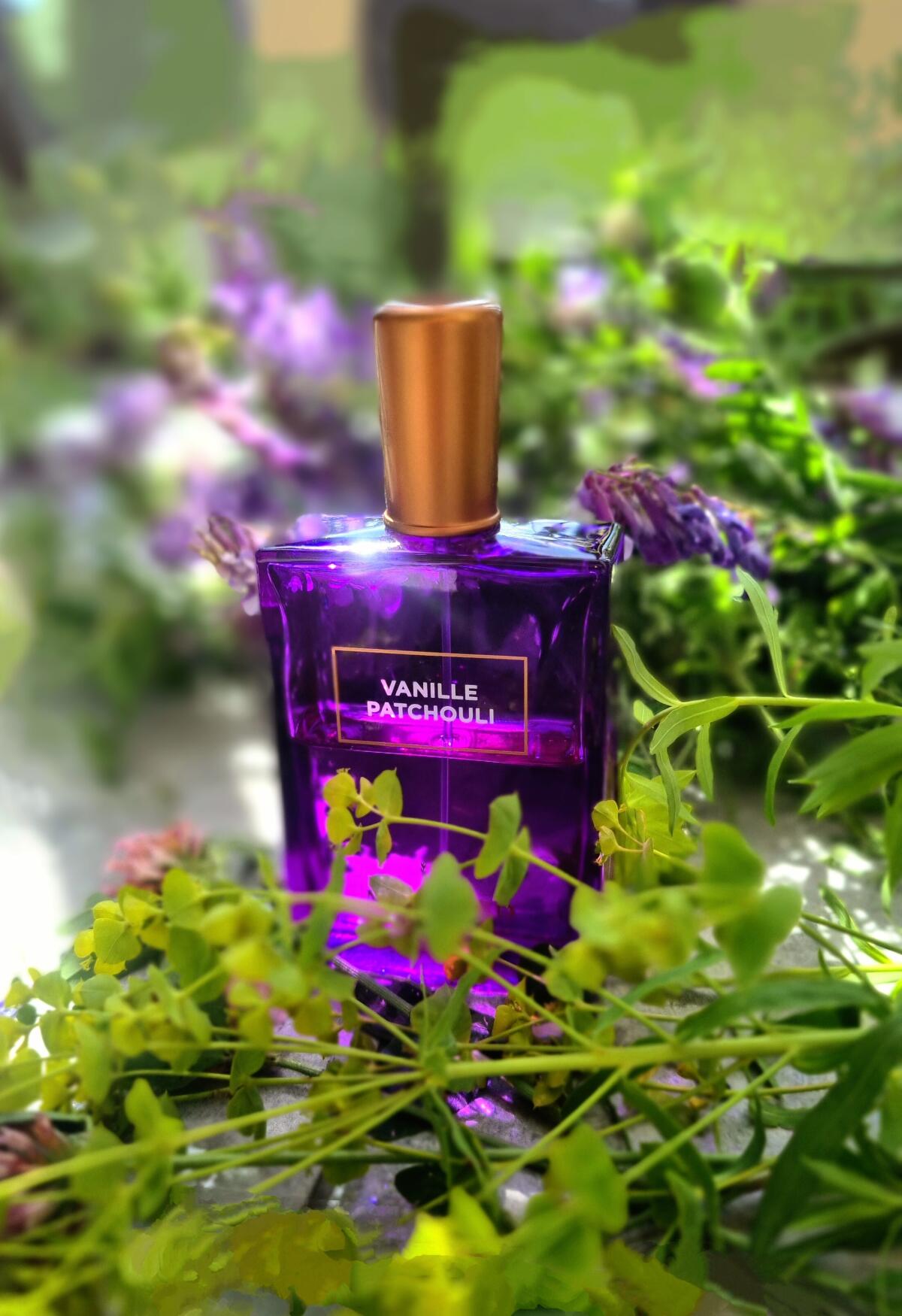 عطر ادکلن وانیل پچولی ادو پرفیوم مولینارد - Vanille Patchouli Eau de Parfum Molinard - بررسی، قیمت و خرید
