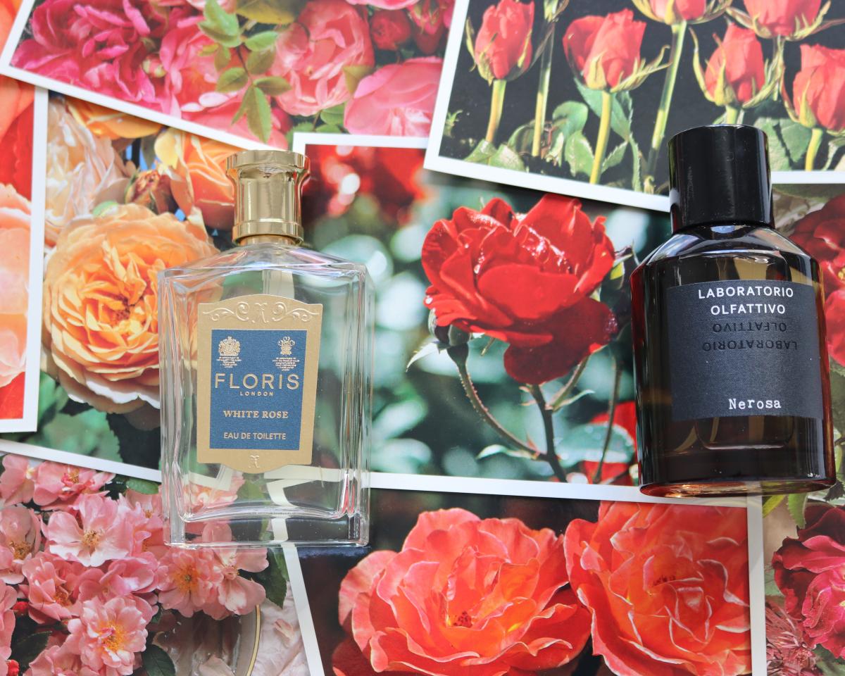 عطر ادکلن نروسا لابوراتوریو اولفاتیوو - Nerosa Laboratorio Olfattivo - بررسی، قیمت و خرید