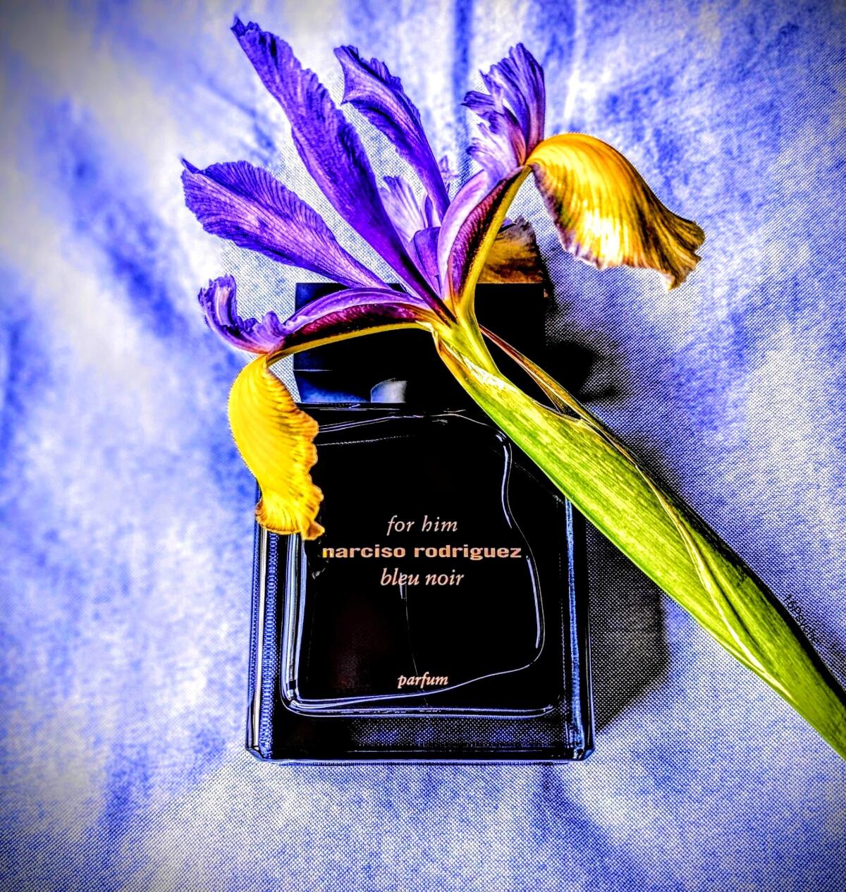 عطر ادکلن نارسیسو رودریگز فور هیم بلو نویر پارفوم نارسیسو رودریگز - Narciso Rodriguez for Him Bleu Noir Parfum Narciso Rodriguez - بررسی، قیمت و خرید