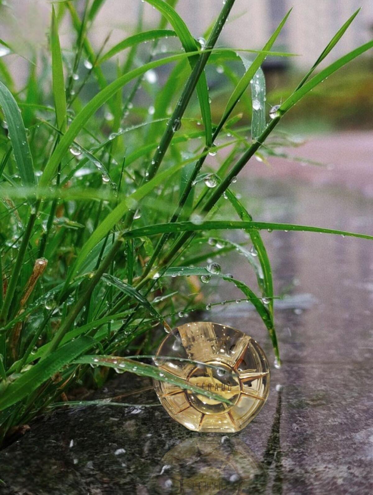 عطر ادکلن لویی فرود لویی فرود - Louis Feraud Louis Feraud - بررسی، قیمت و خرید