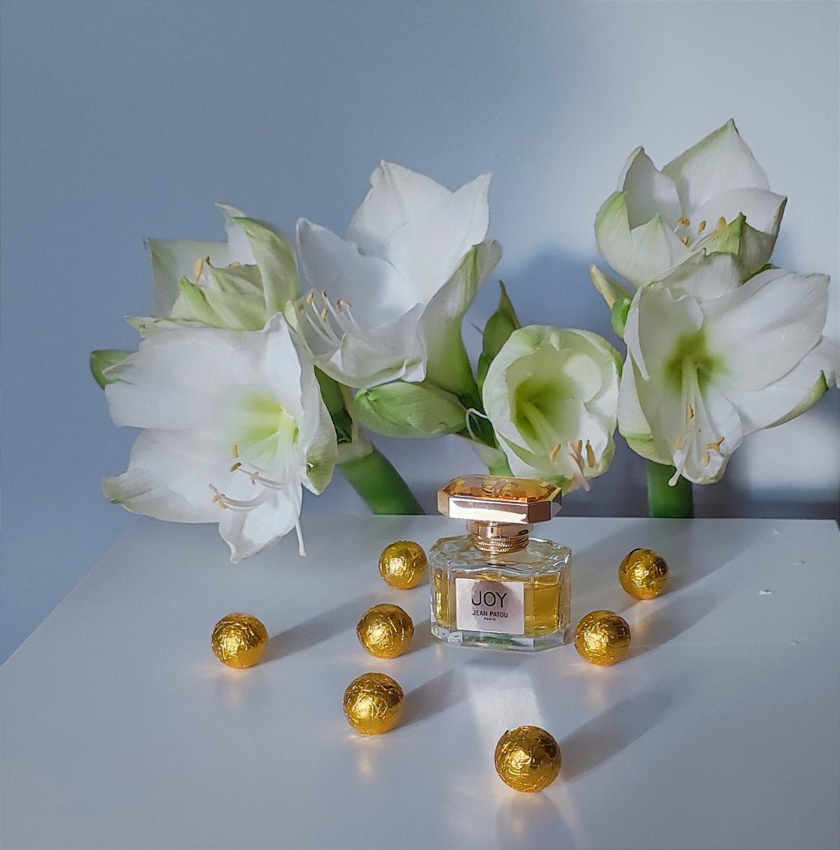 عطر ادکلن جوی فوراور ادو تویلت ژان پاتو - Joy Forever Eau de Toilette Jean Patou - بررسی، قیمت و خرید