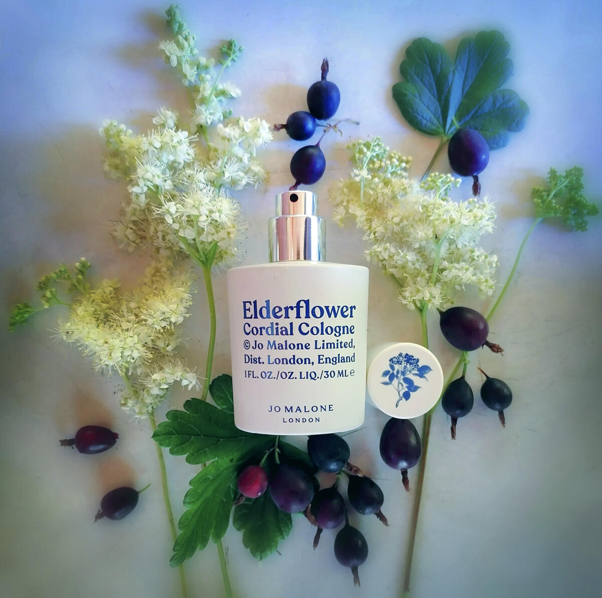 عطر ادکلن اِلدرفلاور کوردیال کلون جو مالون لاندن - Elderflower Cordial Cologne Jo Malone London - بررسی، قیمت و خرید