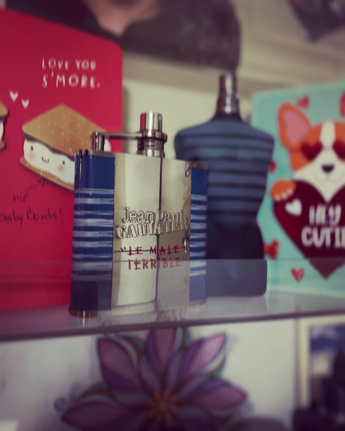 عطر ادکلن له مال تریبل ژان پل گوتیه - Le Male Terrible Jean Paul Gaultier - بررسی، قیمت و خرید