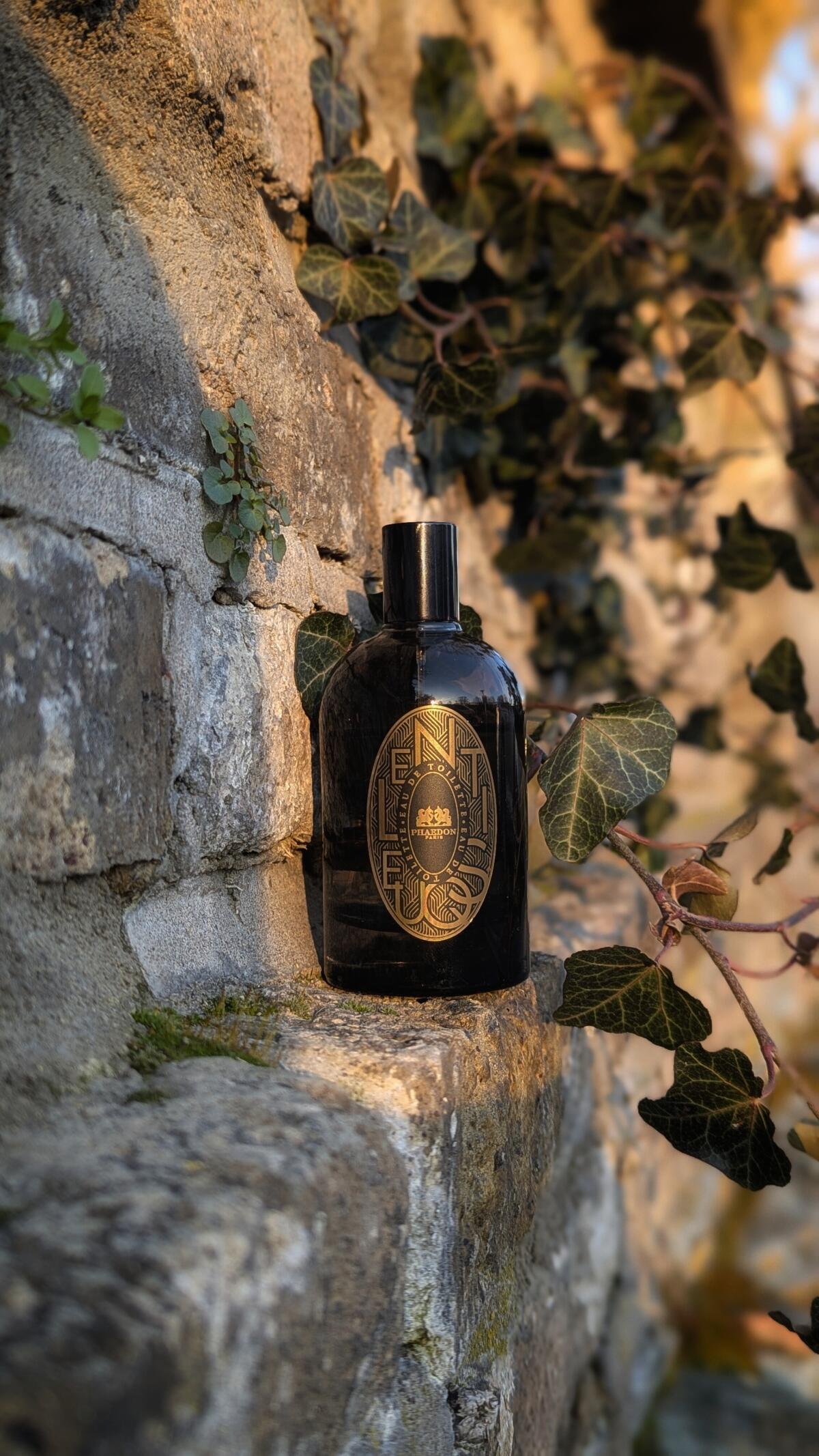 عطر ادکلن لنتیسک فایدون - Lentisque Phaedon - بررسی، قیمت و خرید
