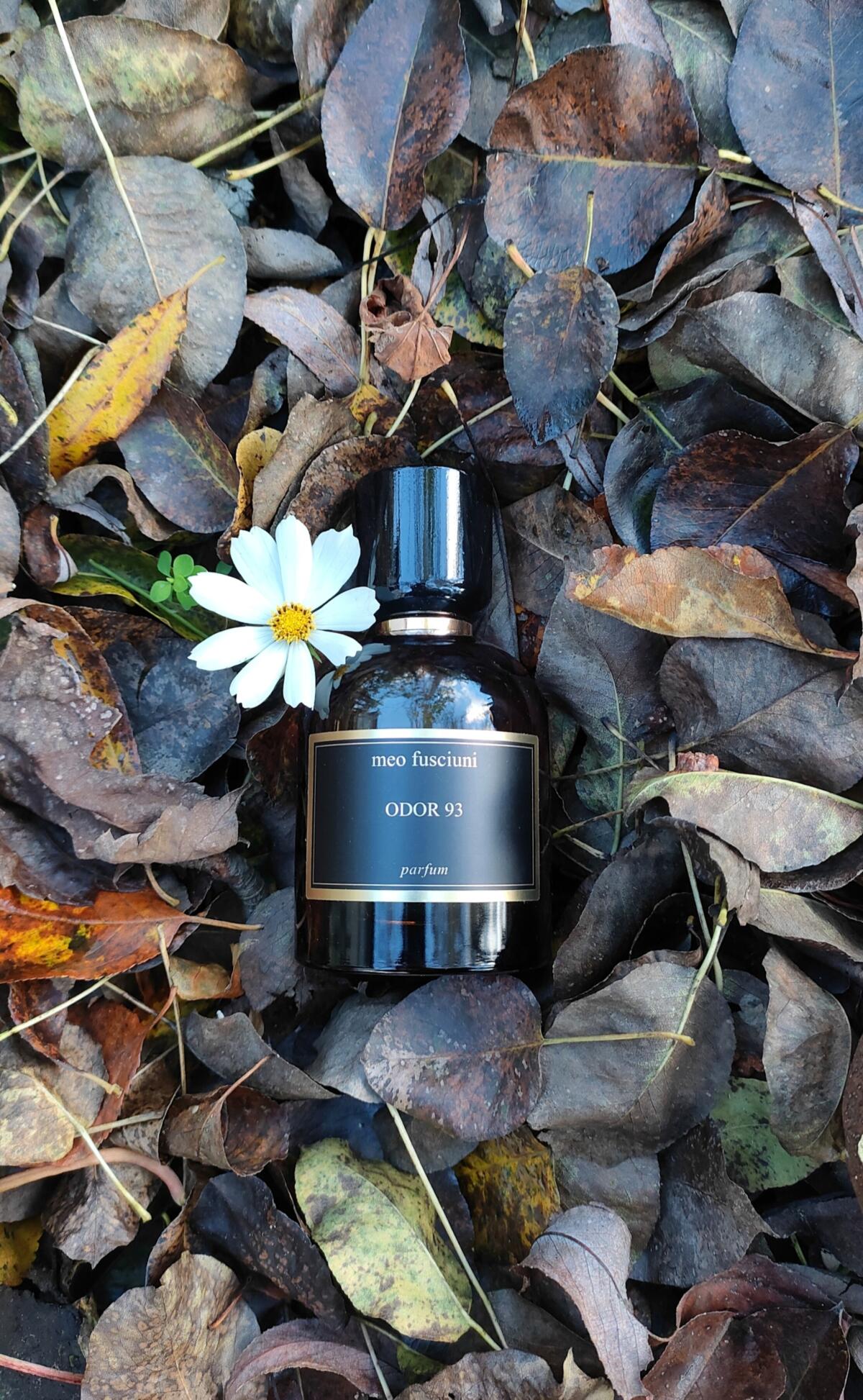 عطر ادکلن اودور نود و سه می‌او فوسچونی - Odor 93 Meo Fusciuni - بررسی، قیمت و خرید