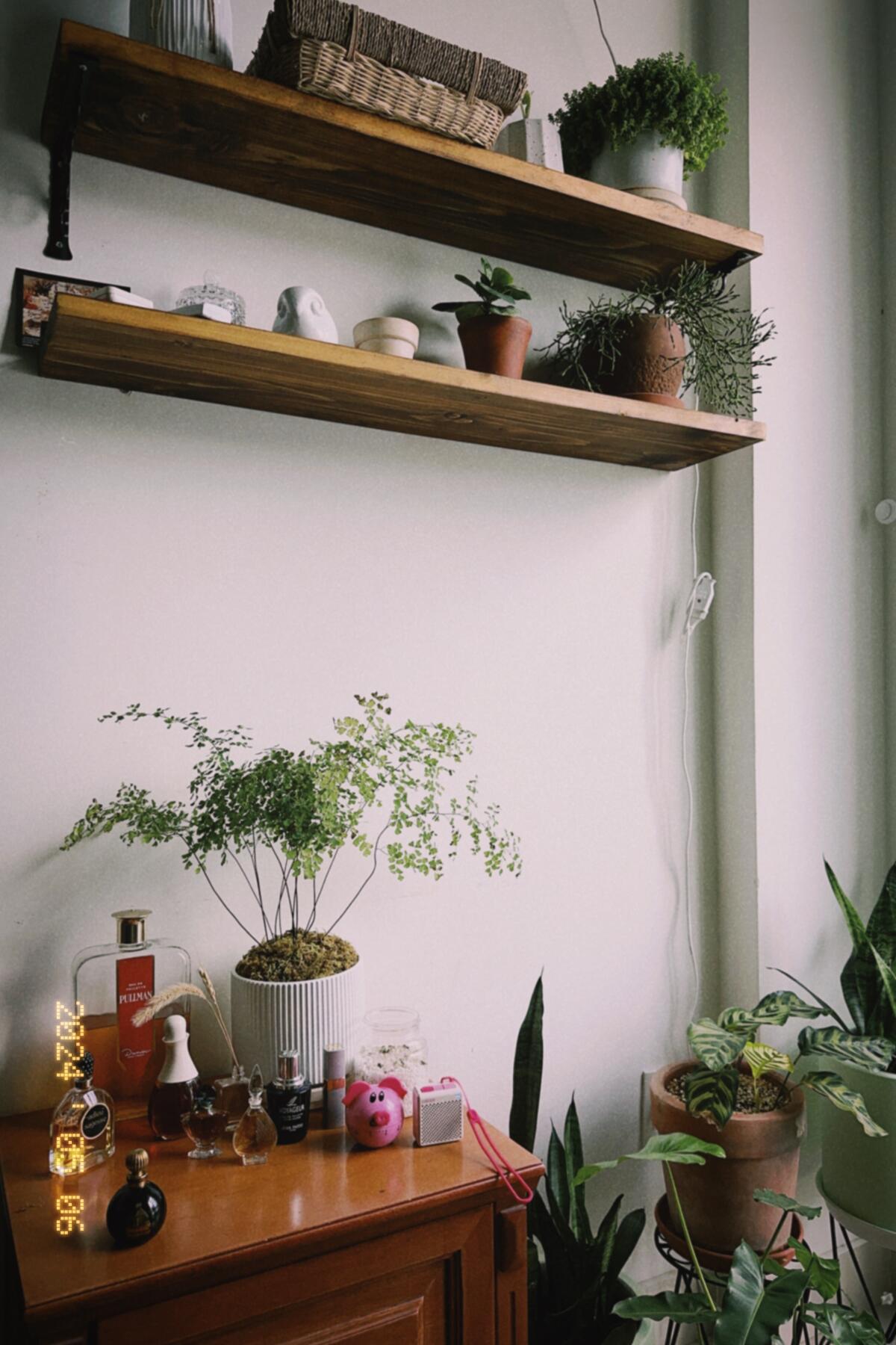 عطر ادکلن وایجر ژان پاتوی - Voyageur Jean Patou - بررسی، قیمت و خرید